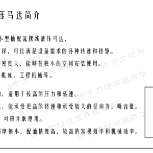 时博手机站·官方版在线侧油口系列马达