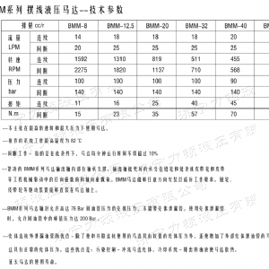 时博手机站·官方版在线侧油口系列马达